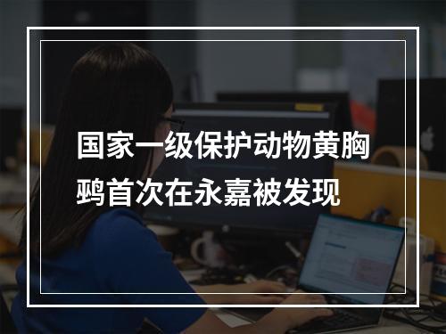 国家一级保护动物黄胸鹀首次在永嘉被发现