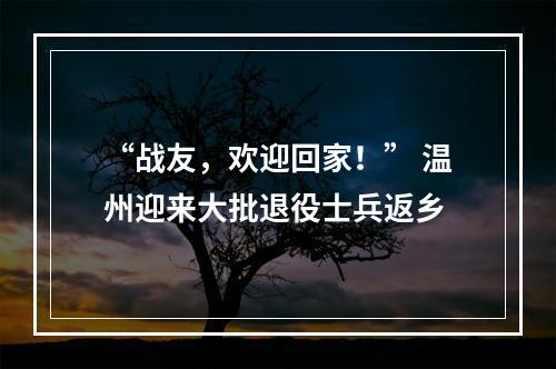 “战友，欢迎回家！” 温州迎来大批退役士兵返乡