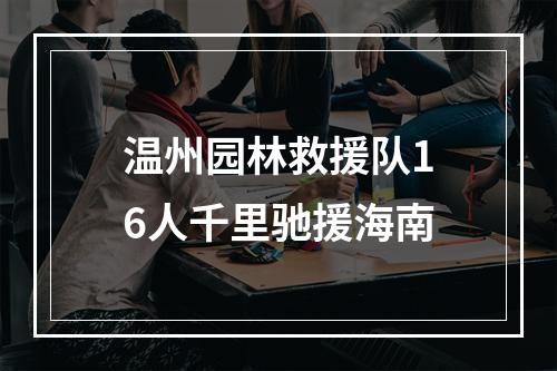 温州园林救援队16人千里驰援海南
