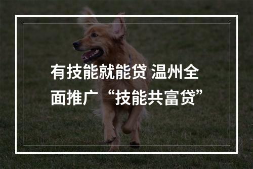 有技能就能贷 温州全面推广“技能共富贷”