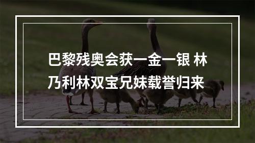 巴黎残奥会获一金一银 林乃利林双宝兄妹载誉归来