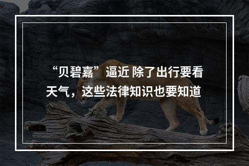 “贝碧嘉”逼近 除了出行要看天气，这些法律知识也要知道