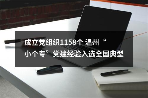 成立党组织1158个 温州“小个专”党建经验入选全国典型