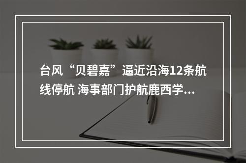 台风“贝碧嘉”逼近沿海12条航线停航 海事部门护航鹿西学子归家