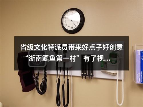 省级文化特派员带来好点子好创意 “浙南鳐鱼第一村”有了视觉标识