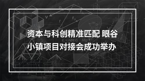 资本与科创精准匹配 眼谷小镇项目对接会成功举办