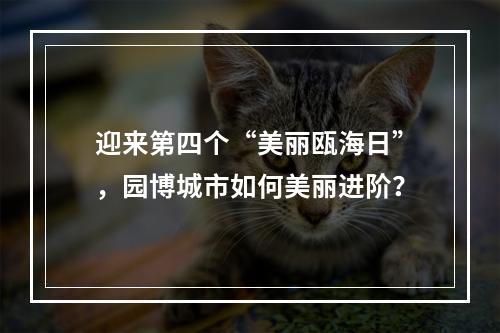 迎来第四个“美丽瓯海日”，园博城市如何美丽进阶？