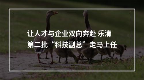 让人才与企业双向奔赴 乐清第二批“科技副总”走马上任
