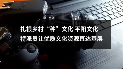 扎根乡村“种”文化 平阳文化特派员让优质文化资源直达基层