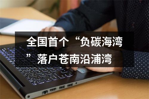 全国首个“负碳海湾”落户苍南沿浦湾