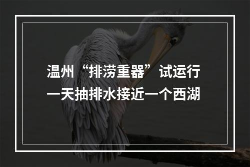 温州“排涝重器”试运行 一天抽排水接近一个西湖