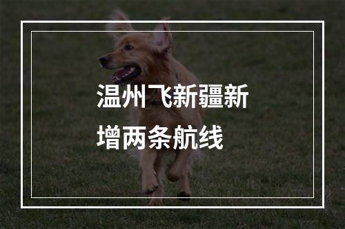 温州飞新疆新增两条航线