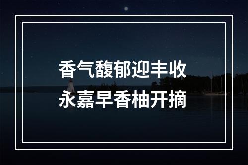 香气馥郁迎丰收 永嘉早香柚开摘