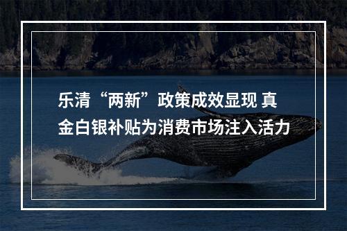 乐清“两新”政策成效显现 真金白银补贴为消费市场注入活力