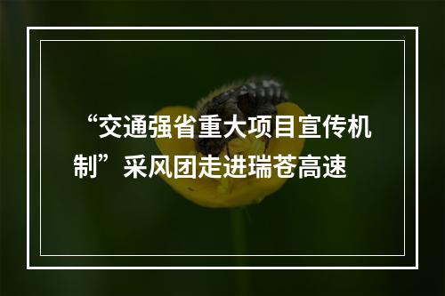 “交通强省重大项目宣传机制”采风团走进瑞苍高速