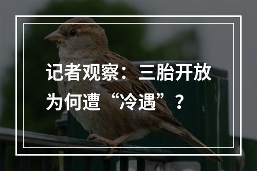 记者观察：三胎开放为何遭“冷遇”？