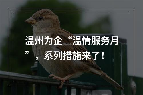 温州为企“温情服务月”，系列措施来了！