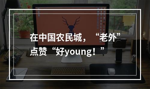 在中国农民城，“老外”点赞“好young！”