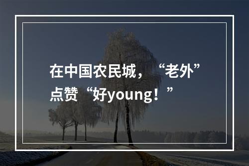 在中国农民城，“老外”点赞“好young！”