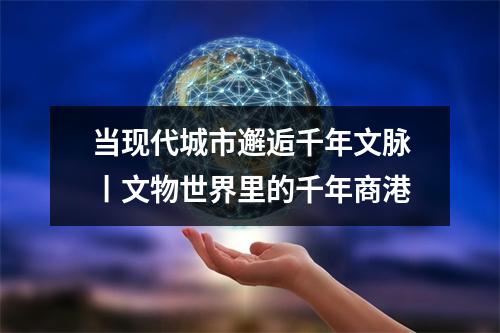 当现代城市邂逅千年文脉丨文物世界里的千年商港