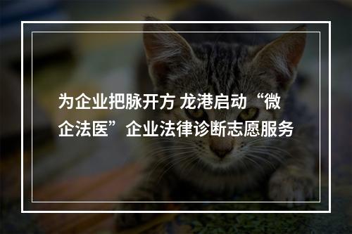为企业把脉开方 龙港启动“微企法医”企业法律诊断志愿服务