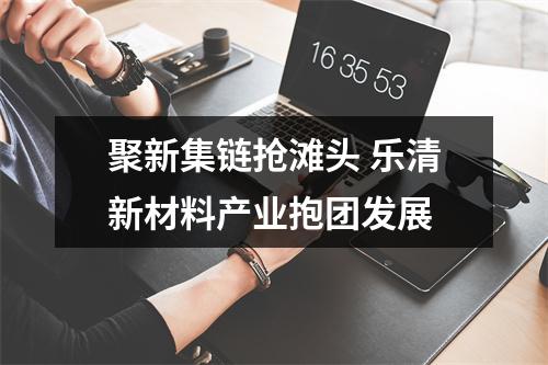 聚新集链抢滩头 乐清新材料产业抱团发展