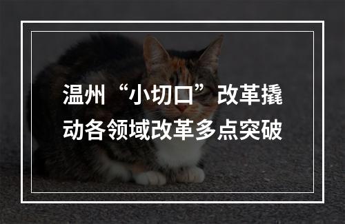 温州“小切口”改革撬动各领域改革多点突破