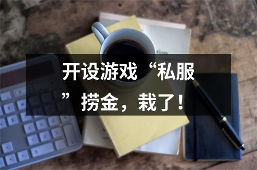 开设游戏“私服”捞金，栽了！