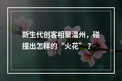 新生代创客相聚温州，碰撞出怎样的“火花” ？