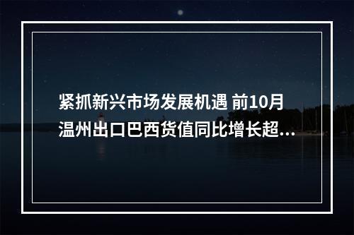 紧抓新兴市场发展机遇 前10月温州出口巴西货值同比增长超20%