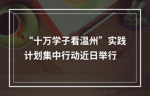 “十万学子看温州”实践计划集中行动近日举行