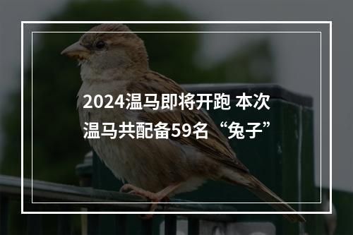 2024温马即将开跑 本次温马共配备59名“兔子”