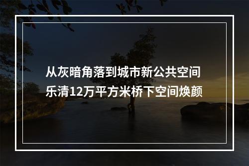 从灰暗角落到城市新公共空间 乐清12万平方米桥下空间焕颜
