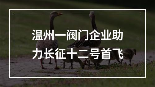 温州一阀门企业助力长征十二号首飞