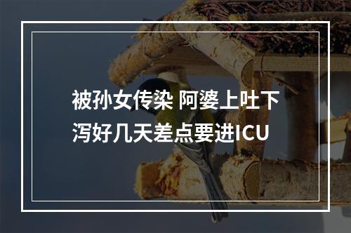 被孙女传染 阿婆上吐下泻好几天差点要进ICU