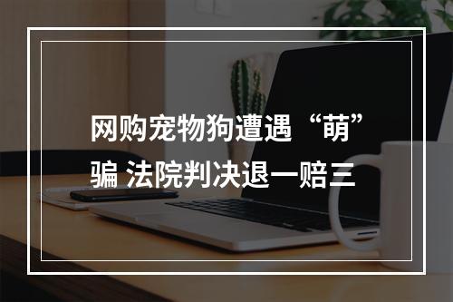 网购宠物狗遭遇“萌”骗 法院判决退一赔三