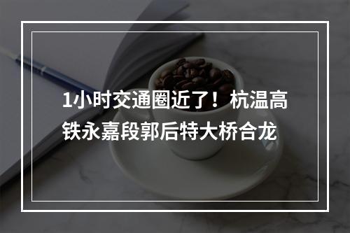 1小时交通圈近了！杭温高铁永嘉段郭后特大桥合龙
