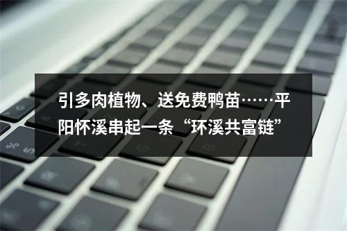 引多肉植物、送免费鸭苗……平阳怀溪串起一条“环溪共富链”