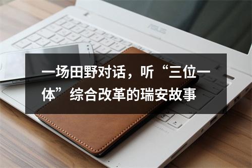 一场田野对话，听“三位一体”综合改革的瑞安故事