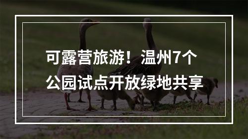 可露营旅游！温州7个公园试点开放绿地共享