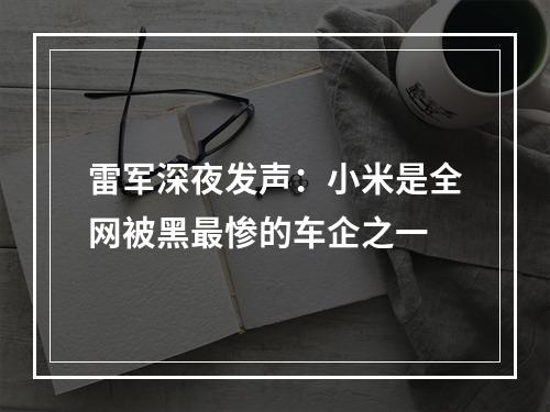 雷军深夜发声：小米是全网被黑最惨的车企之一