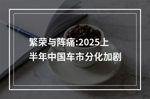 繁荣与阵痛:2025上半年中国车市分化加剧