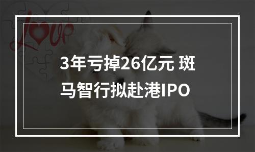 3年亏掉26亿元 斑马智行拟赴港IPO