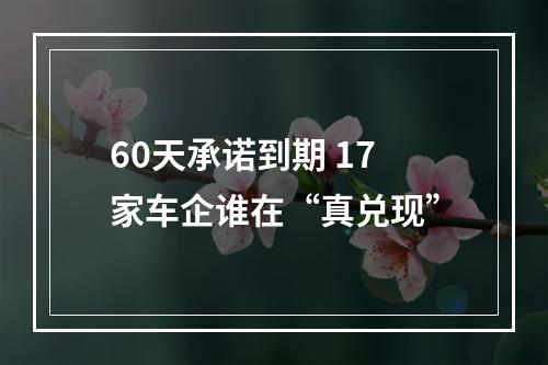 60天承诺到期 17家车企谁在“真兑现”