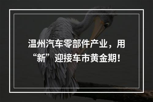 温州汽车零部件产业，用“新”迎接车市黄金期！