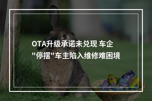 OTA升级承诺未兑现 车企