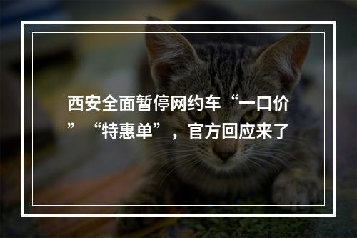 西安全面暂停网约车“一口价”“特惠单”，官方回应来了