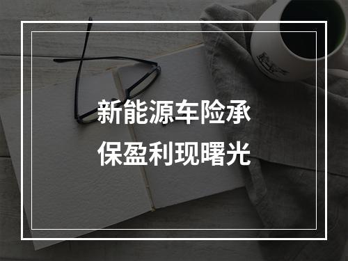 新能源车险承保盈利现曙光