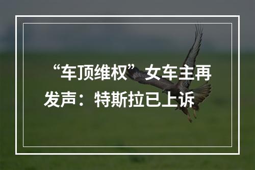 “车顶维权”女车主再发声：特斯拉已上诉