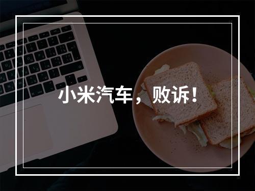 小米汽车，败诉！